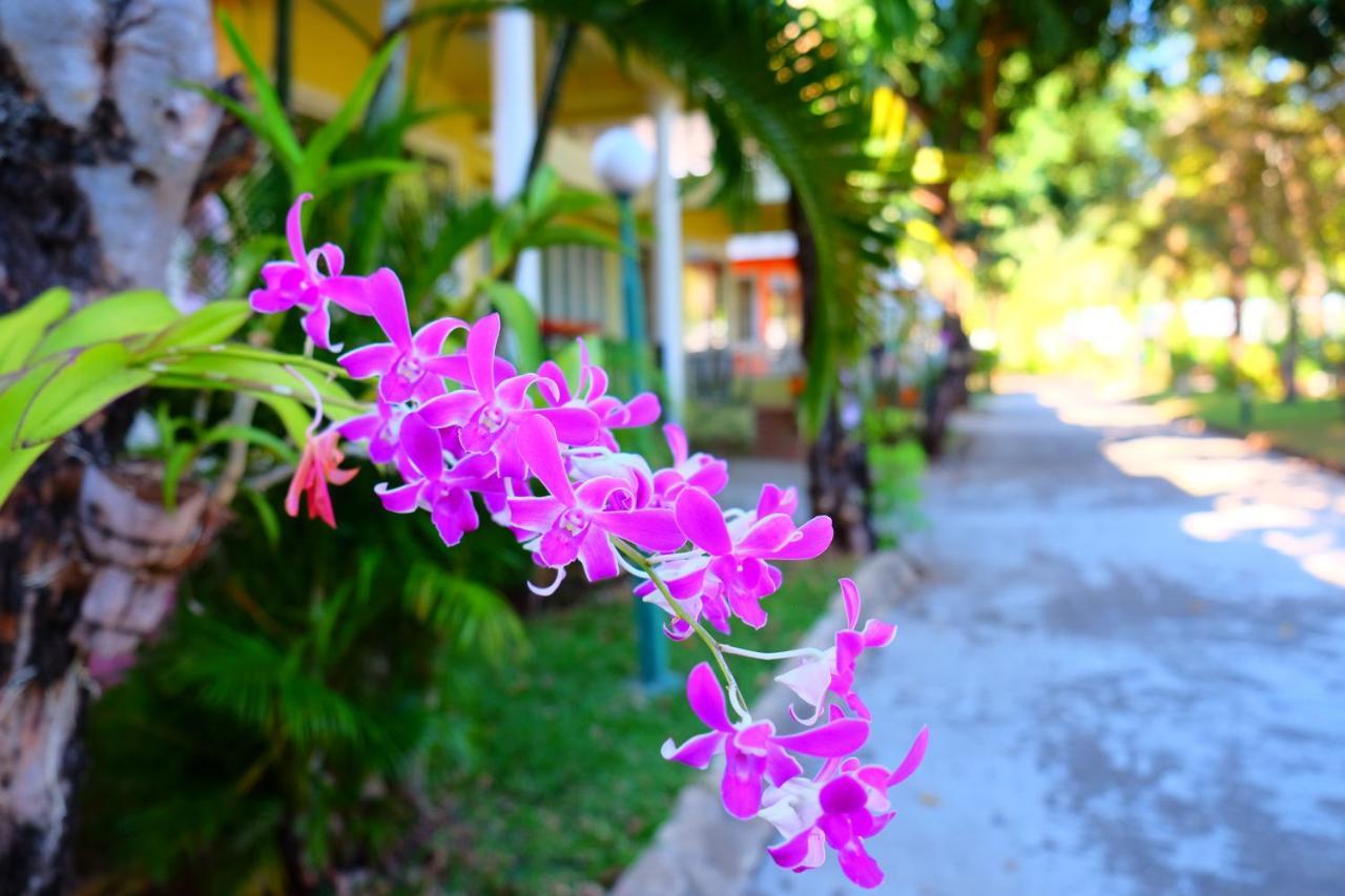 New Travel Beach Hotel&Resort Chao Lao Beach Exterior foto